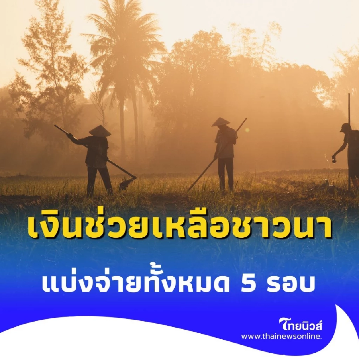 เงินช่วยชาวนา เช็กสิทธิ์รับเงินช่วยเหลืองวดใหม่ 5 รอบ โอนเข้าบัญชีตรง