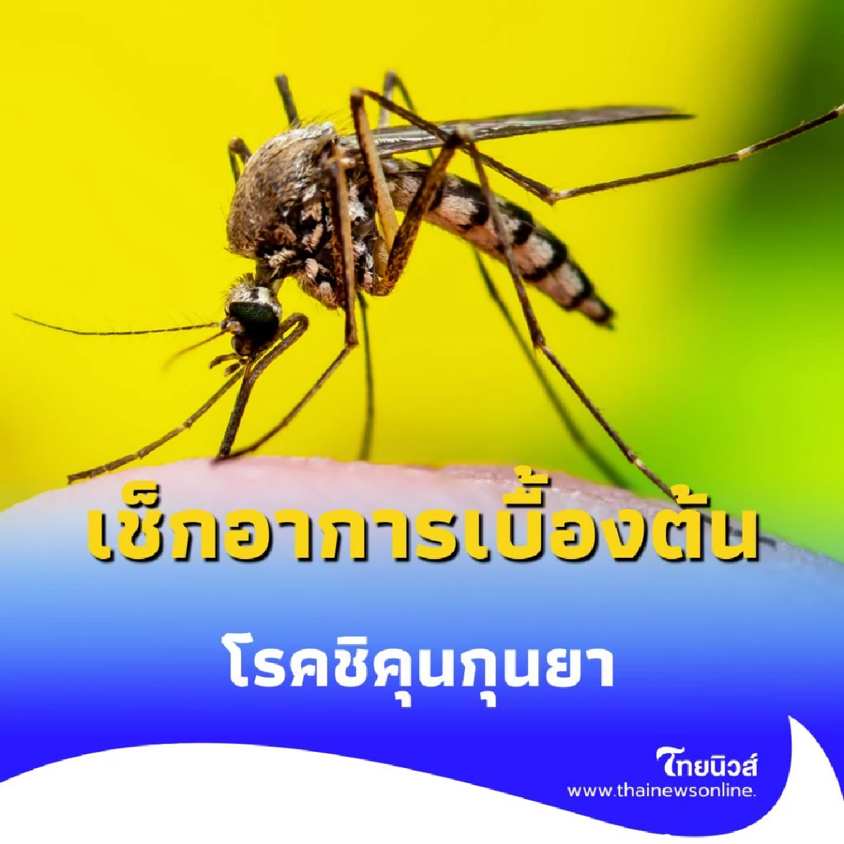กรมควบคุมโรคเตือน 10 จังหวัด ทั่วไทย ภาคเหนือ-อีสานวิกฤต แนะเร่งกำจัดแหล่งน้ำขัง