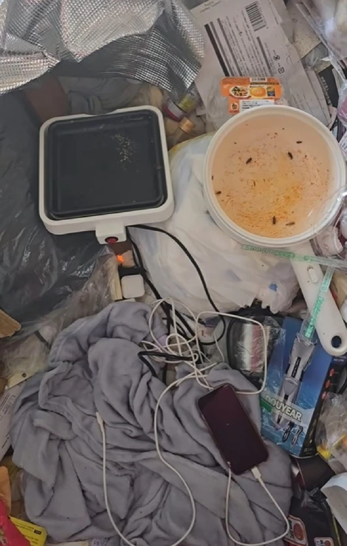 ดาว TikTok เลี้ยงแมลงสาบในห้อง สุดท้ายถูกไล่ออก เป็นคนไร้บ้าน
