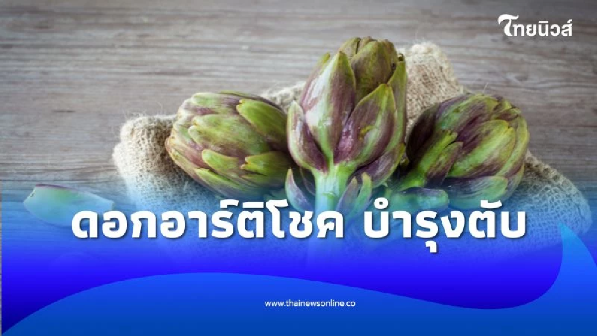 เผยประโยชน์ ดอกอาร์ติโชค ตัวช่วยสำคัญในการบำรุงตับ