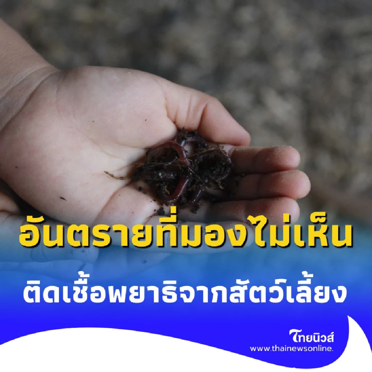 เดินเท้าเปล่าบนดิน เสี่ยงติดเชื้อพยาธิจากสัตว์เลี้ยง