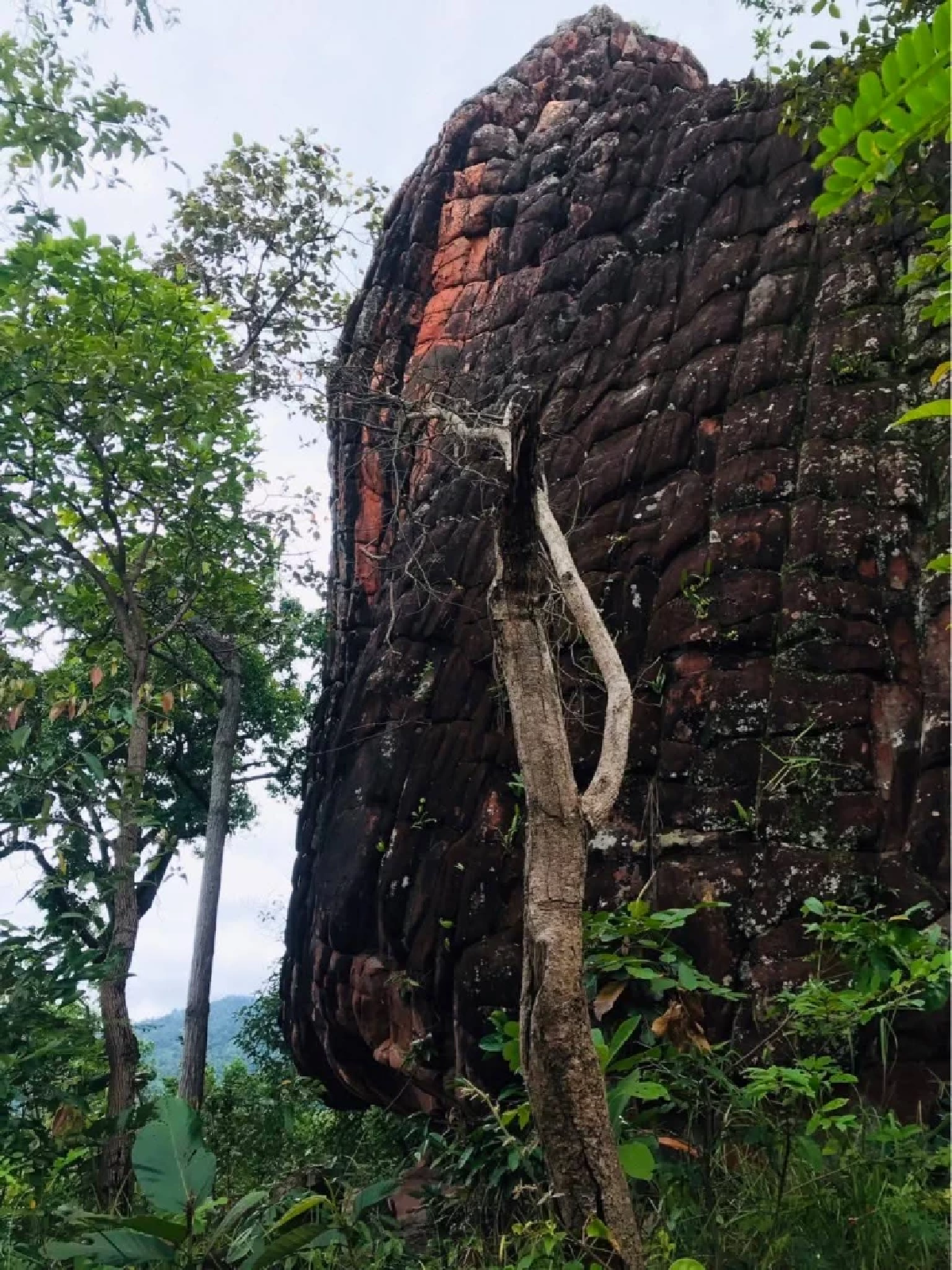 ค้นพบแหล่งโบราณคดีใหม่ &quot;ถ้ำตากึง&quot; ในป่าต้นน้ำแควน้อย พิษณุโลก