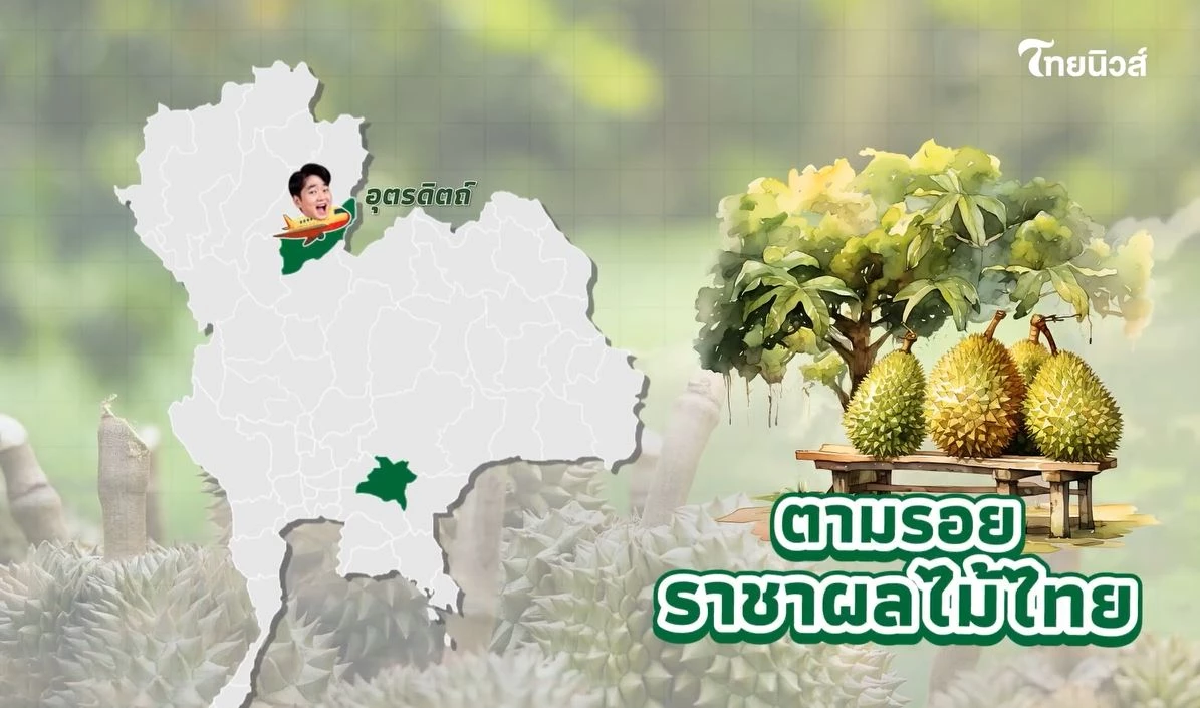 ไขรหัสลับ ทุเรียน GI ตามรอยราชาผลไม้ไทย จากเหนือจรดใต้