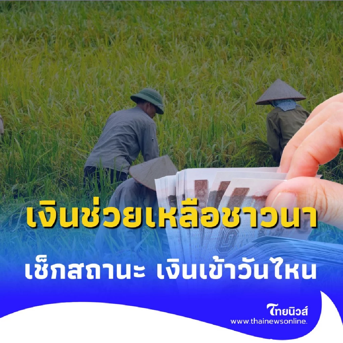 เงินช่วยเหลือ ไร่ละ 1,000 บาท เข้าวันไหน เช็กเลย ธ.ก.ส. โอนตรงเข้าบัญชีใครบ้าง