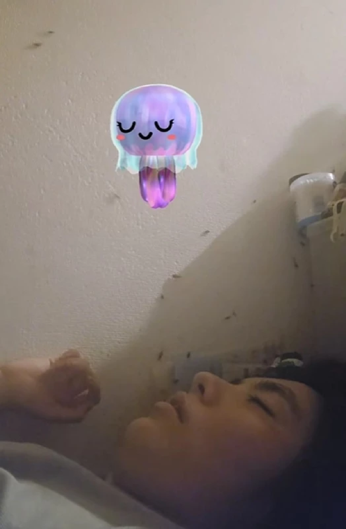 ดาว TikTok เลี้ยงแมลงสาบในห้อง สุดท้ายถูกไล่ออก เป็นคนไร้บ้าน