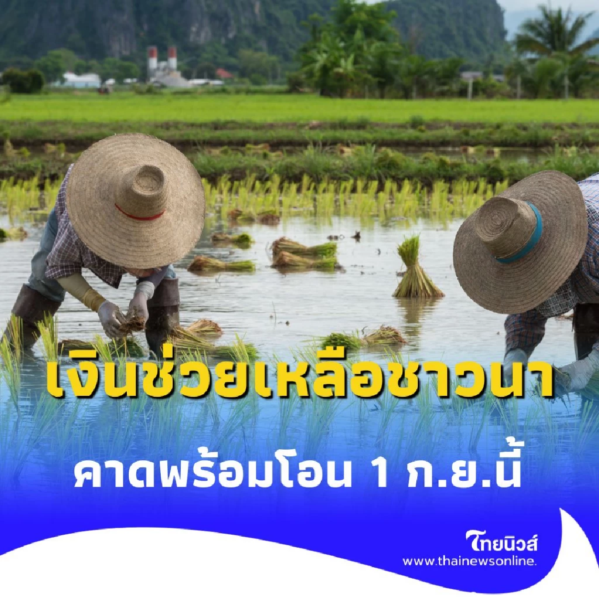 ธ.ก.ส. จ่อเคาะ เงินไร่ละ 1,000 บาท 28 ส.ค. พร้อมโอนรอบแรก 1 ก.ย. 68 นี้