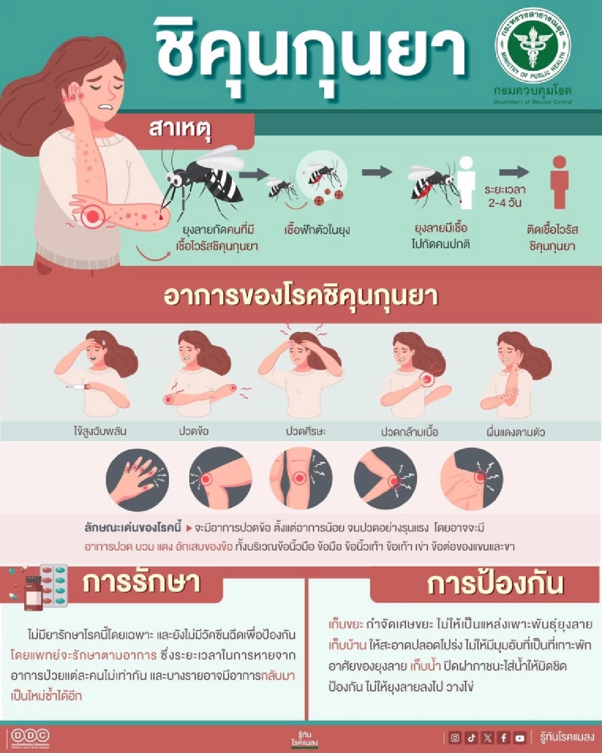 กรมควบคุมโรคเตือน 10 จังหวัด ทั่วไทย ภาคเหนือ-อีสานวิกฤต แนะเร่งกำจัดแหล่งน้ำขัง