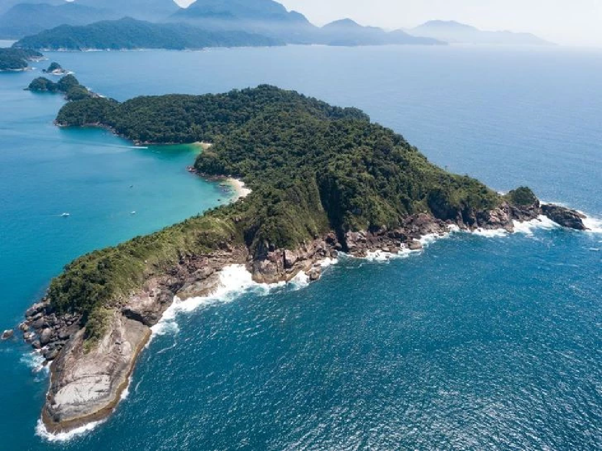 เกาะต้องห้าม เปิดตำนานเกาะงู”ถิ่นงูพิษร้ายแรงที่สุดในโลก