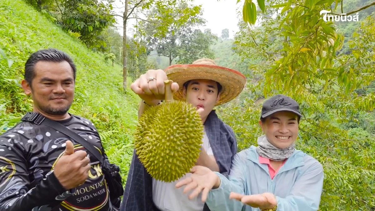ไขรหัสลับ ทุเรียน GI ตามรอยราชาผลไม้ไทย จากเหนือจรดใต้