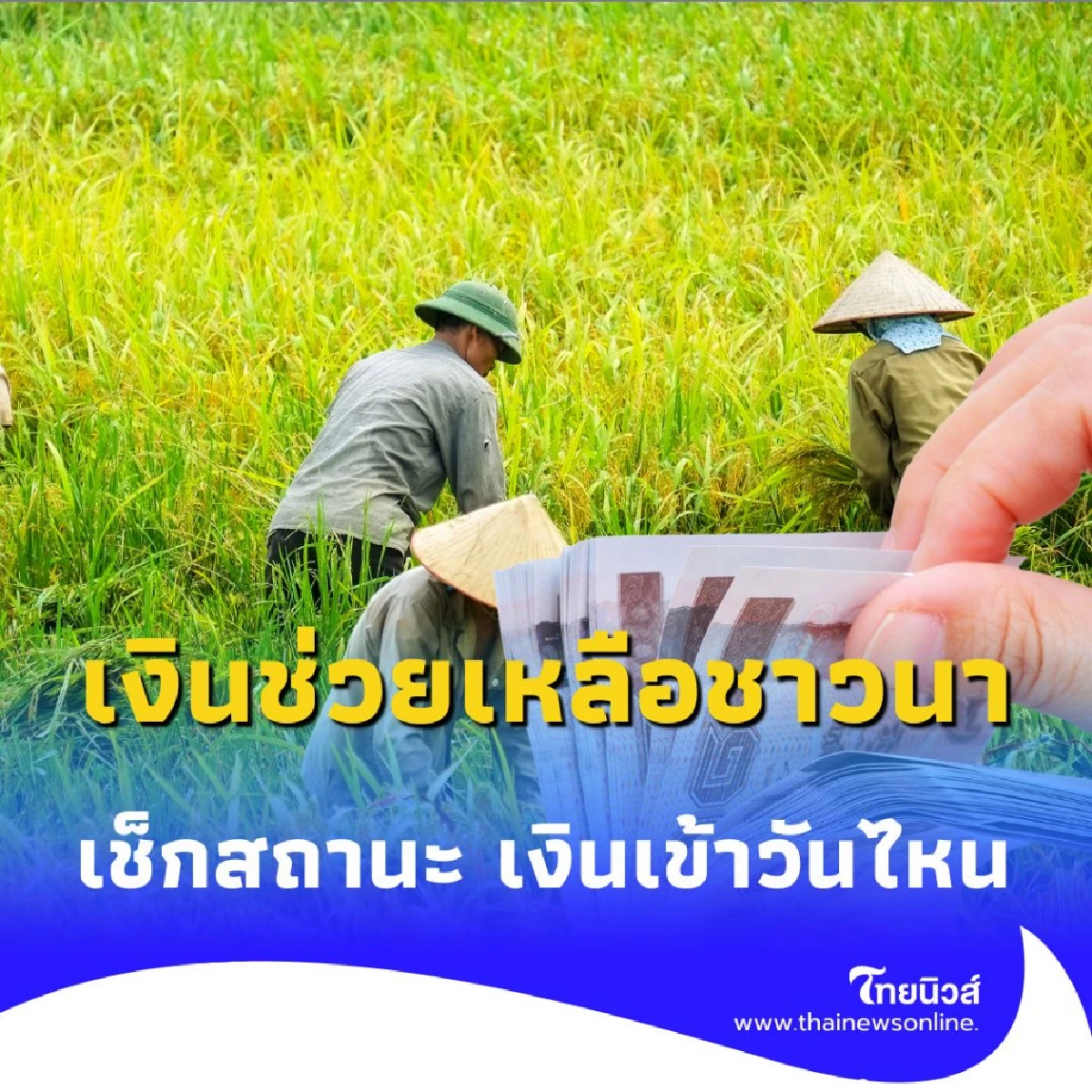 เงินช่วยเหลือ ไร่ละ 1,000 บาท เข้าวันไหน เช็กเลย ธ.ก.ส. โอนตรงเข้าบัญชีใครบ้าง
