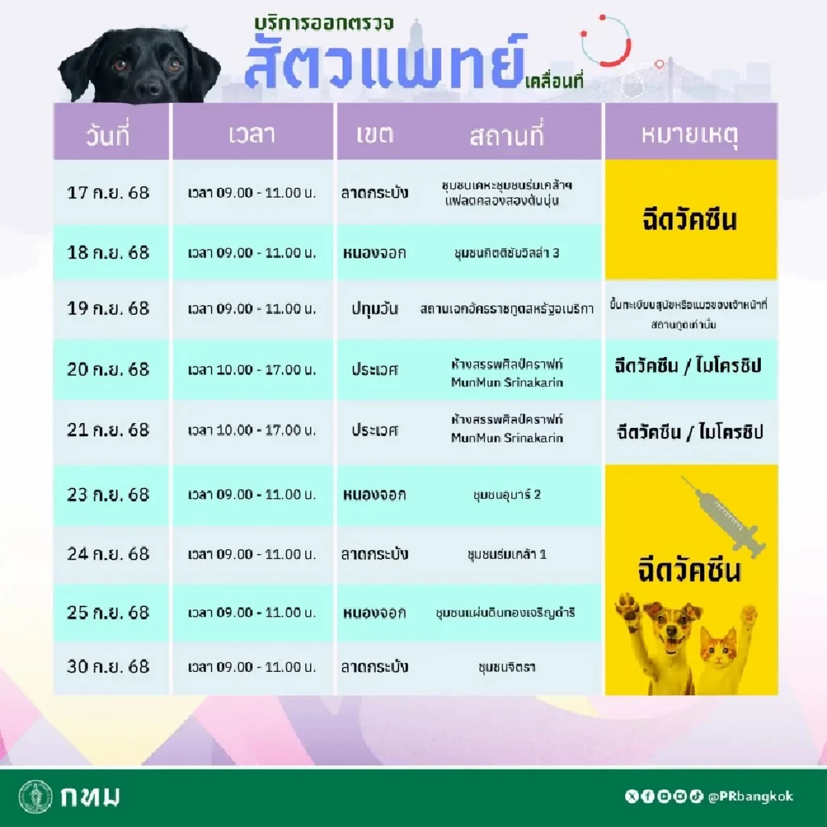 ทำหมัน ฉีดวัคซีน และฝังไมโครชิปฟรี ตลอดเดือนกันยายน