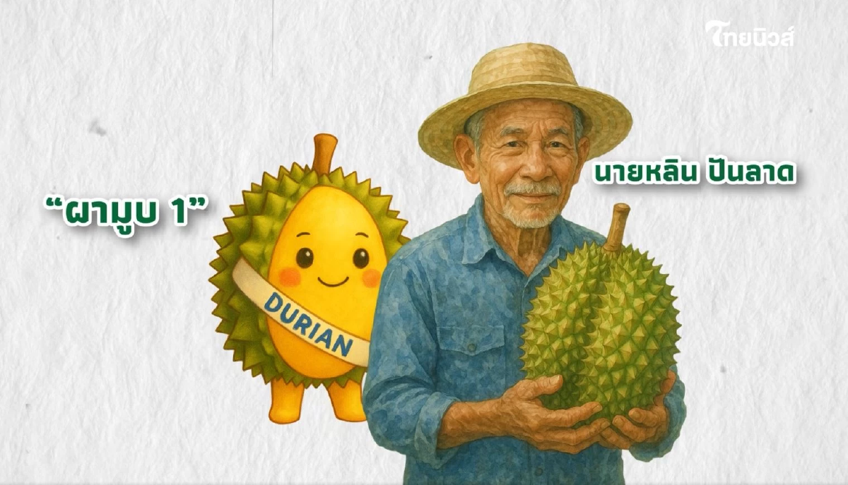 ถอดรหัส ทุเรียน GI บนดอยอุตรดิตถ์ หลิน-หลง ลับแล ต่างกันยังไงนะ