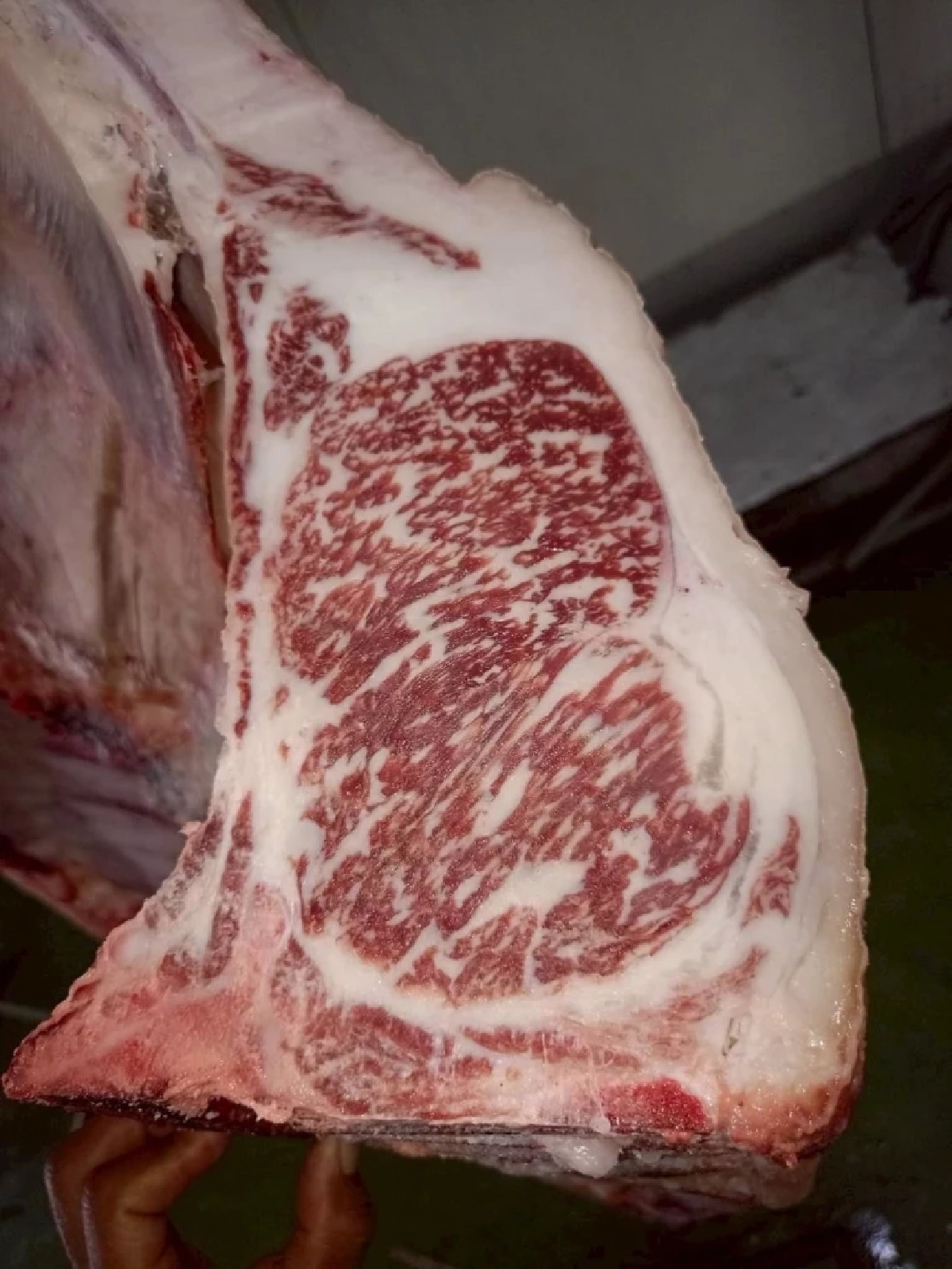 เนื้อสุรินทร์ ขึ้นแท่นสินค้า GI ใหม่ ทำรายได้ทะลุ 43 ล้านต่อปี