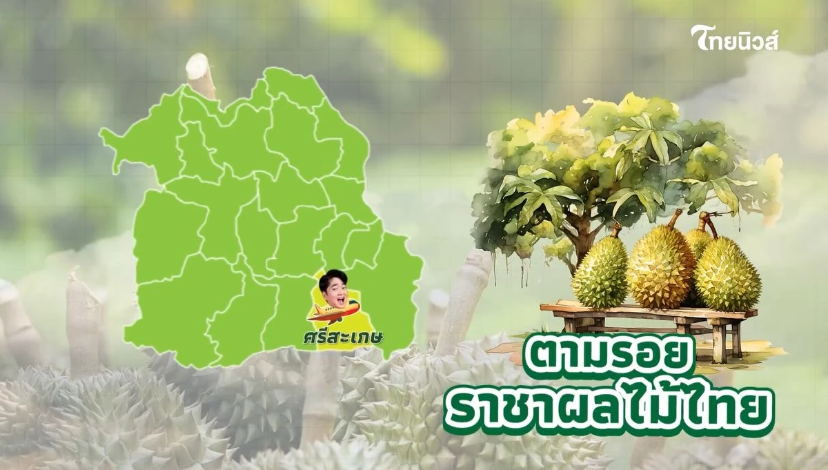 ไขรหัสลับ ทุเรียน GI ตามรอยราชาผลไม้ไทย จากเหนือจรดใต้