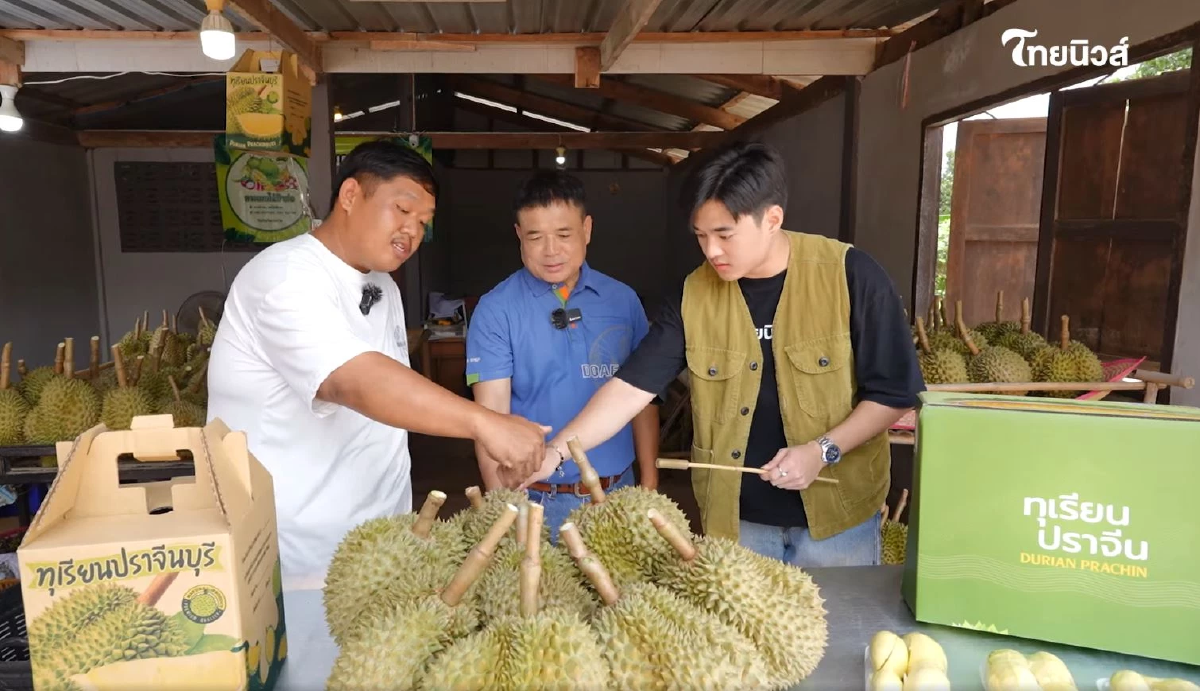 ตามรอย ทุเรียน GI ปราจีนบุรี ไขรหัสลับความหวานมัน รสเด็ดระดับราชา
