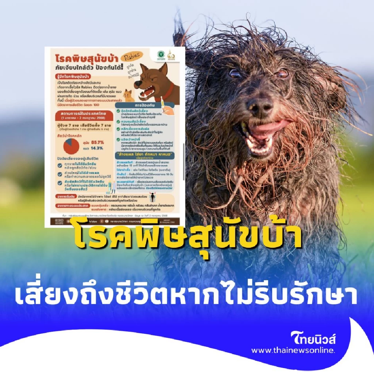 พิษสุนัขบ้ากลับมาระบาด รู้เท่าทัน ไม่ใช่เรื่องไกลตัว พร้อมรับมือ