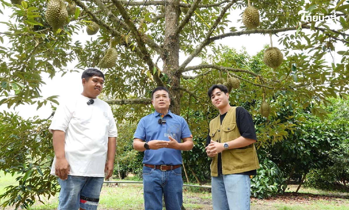 ตามรอย ทุเรียน GI ปราจีนบุรี ไขรหัสลับความหวานมัน รสเด็ดระดับราชา