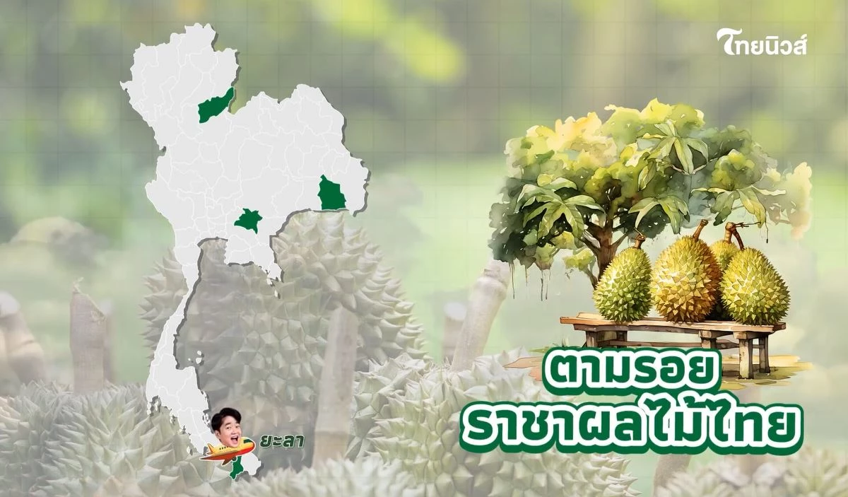 ไขรหัสลับ ทุเรียน GI ตามรอยราชาผลไม้ไทย จากเหนือจรดใต้