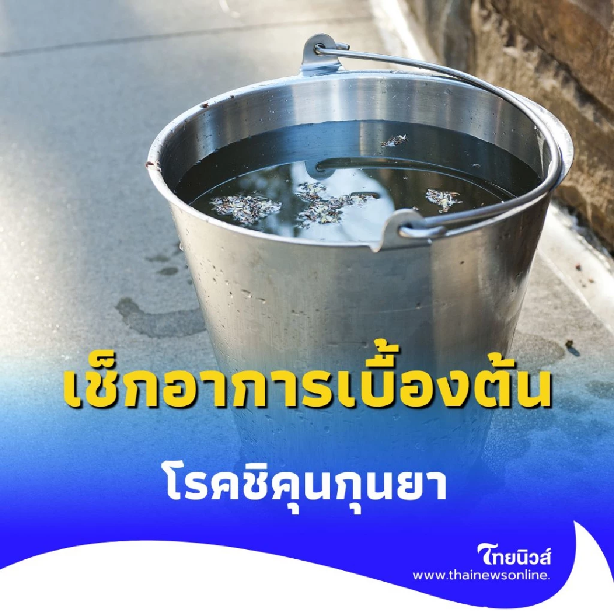 กรมควบคุมโรคเตือน 10 จังหวัด ทั่วไทย ภาคเหนือ-อีสานวิกฤต แนะเร่งกำจัดแหล่งน้ำขัง