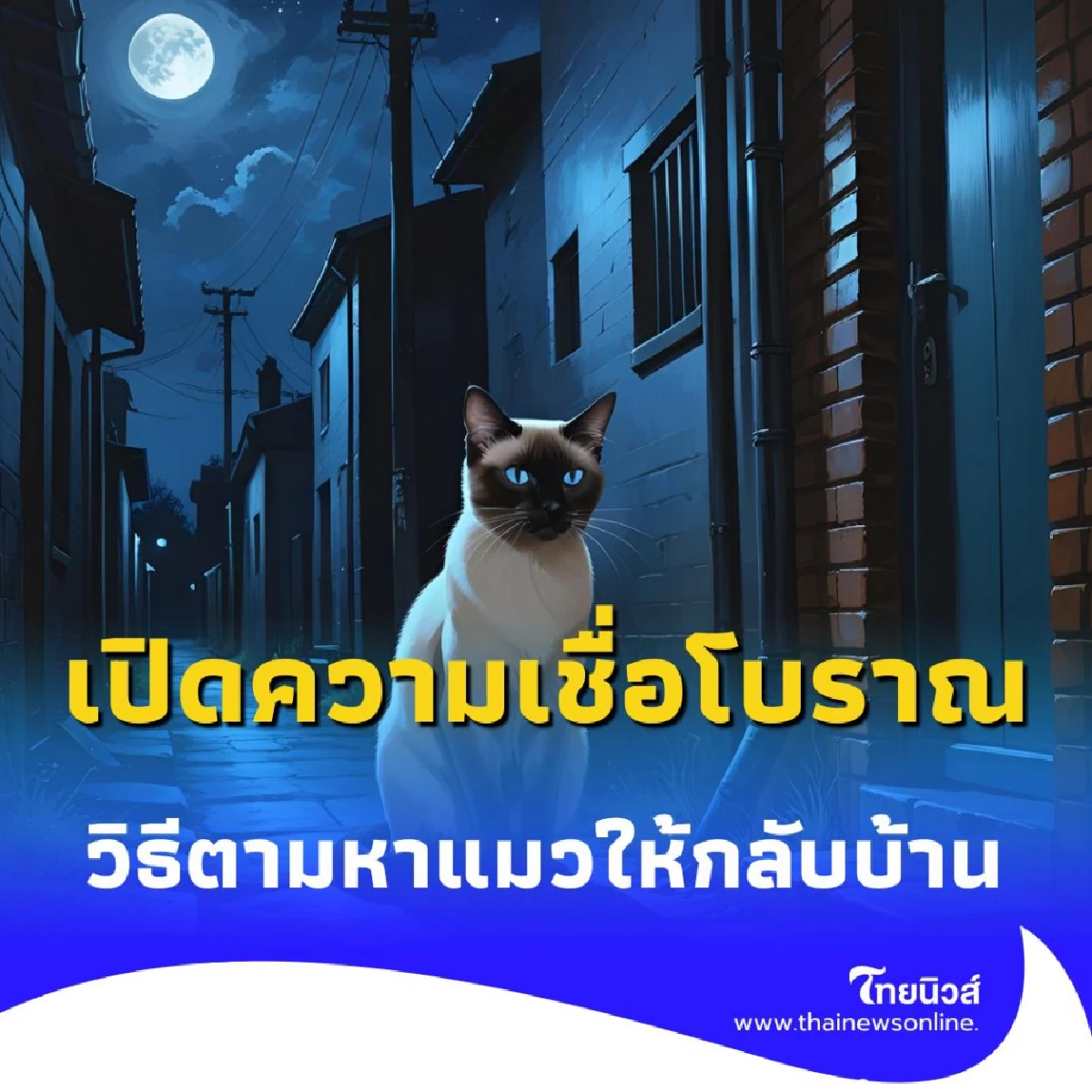 แมวหายไม่ใช่เรื่องบังเอิญ เปิดความเชื่อโบราณ และวิธีตามหาแมวให้กลับบ้าน