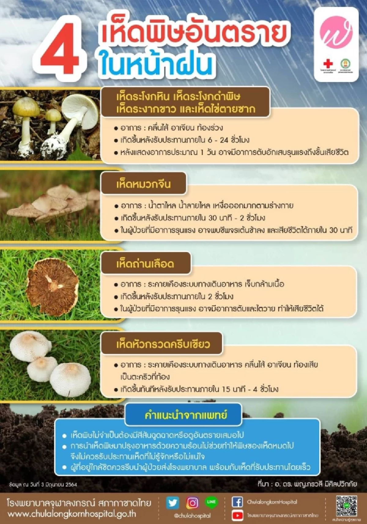 เตือนภัยหน้าฝน 4 เห็ดอันตรายกินแล้วตาย ไม่ควรเก็บมาทำอาหารเด็ดขาด