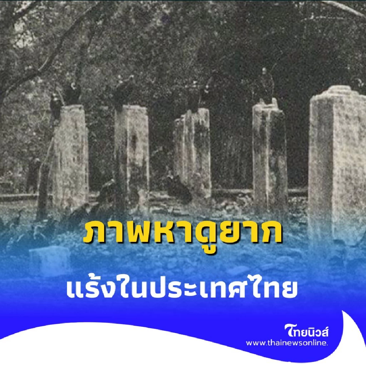 เปิดภาพหาดูยาก แร้ง ในกรุงเทพฯ เมื่อ 119 ปีก่อน ณ วัดสระเกศ