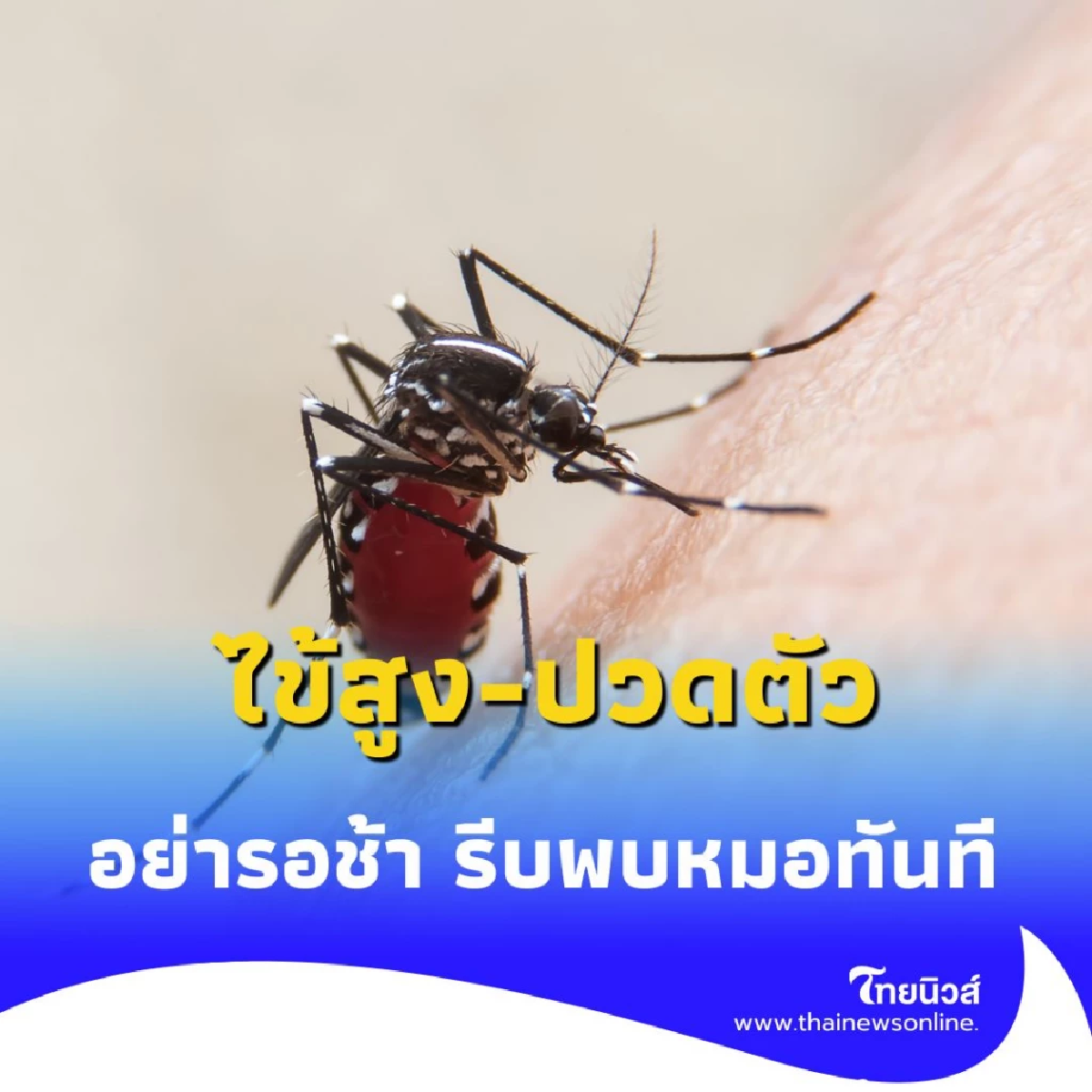 ไข้สูง-ปวดตัว ระวังโรคชิคุนกุนยา ระบาดหนักหลายพื้นที่