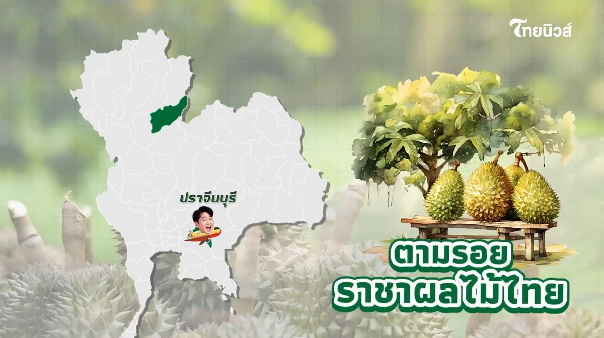 ไขรหัสลับ ทุเรียน GI ตามรอยราชาผลไม้ไทย จากเหนือจรดใต้