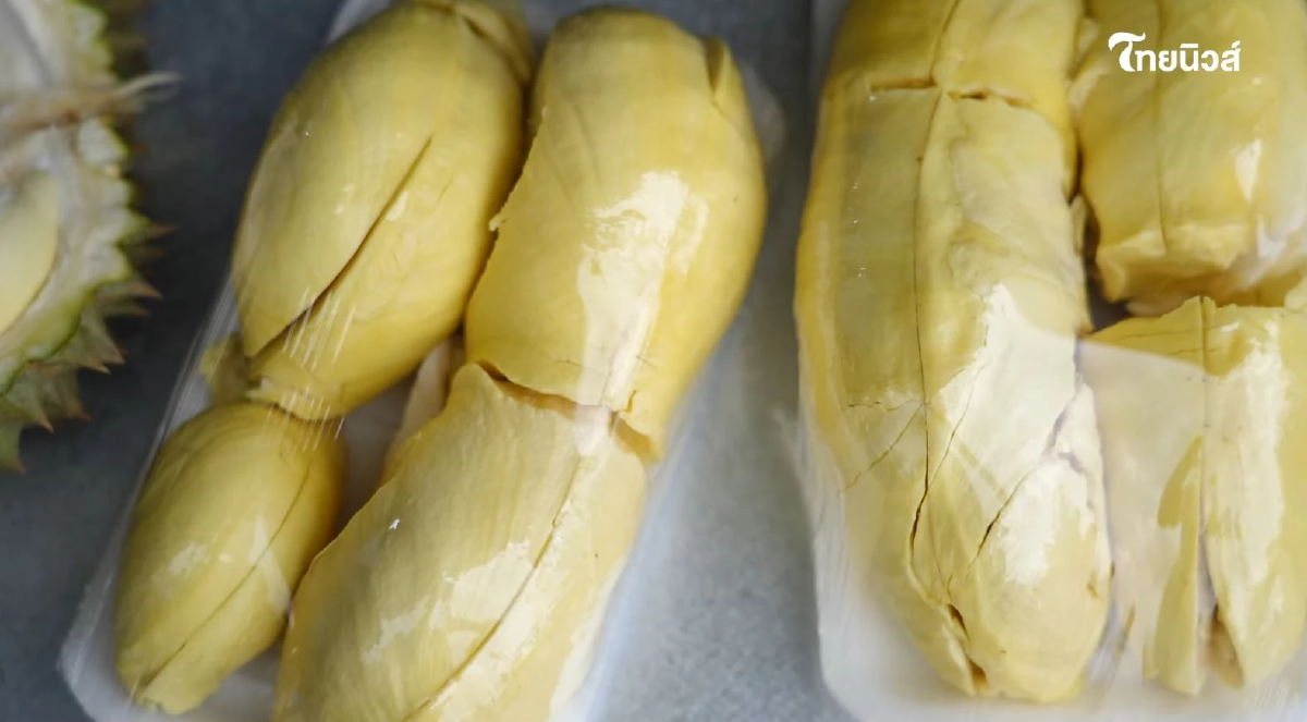 ตามรอย ทุเรียน GI ปราจีนบุรี ไขรหัสลับความหวานมัน รสเด็ดระดับราชา