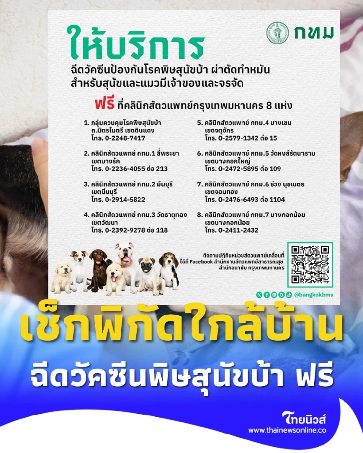 กทม.เปิดแล้ว ฉีดวัคซีนพิษสุนัขบ้า ฟรี เช็กพิกัดใกล้บ้านได้เลย