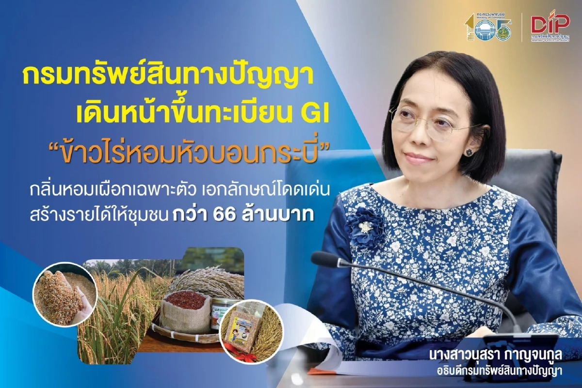 ข้าวไร่หอมหัวบอนกระบี่ ขึ้นแท่น GI ดันรายได้ชุมชนปีละ 66 ล้าน