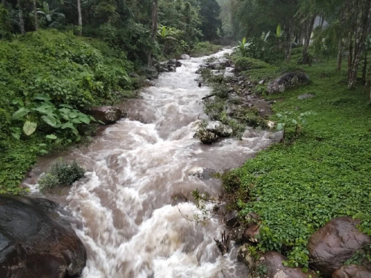 พายุบัวลอย ถล่มหนัก อุทยานภูสอยดาวปิดลานสนชั่วคราว