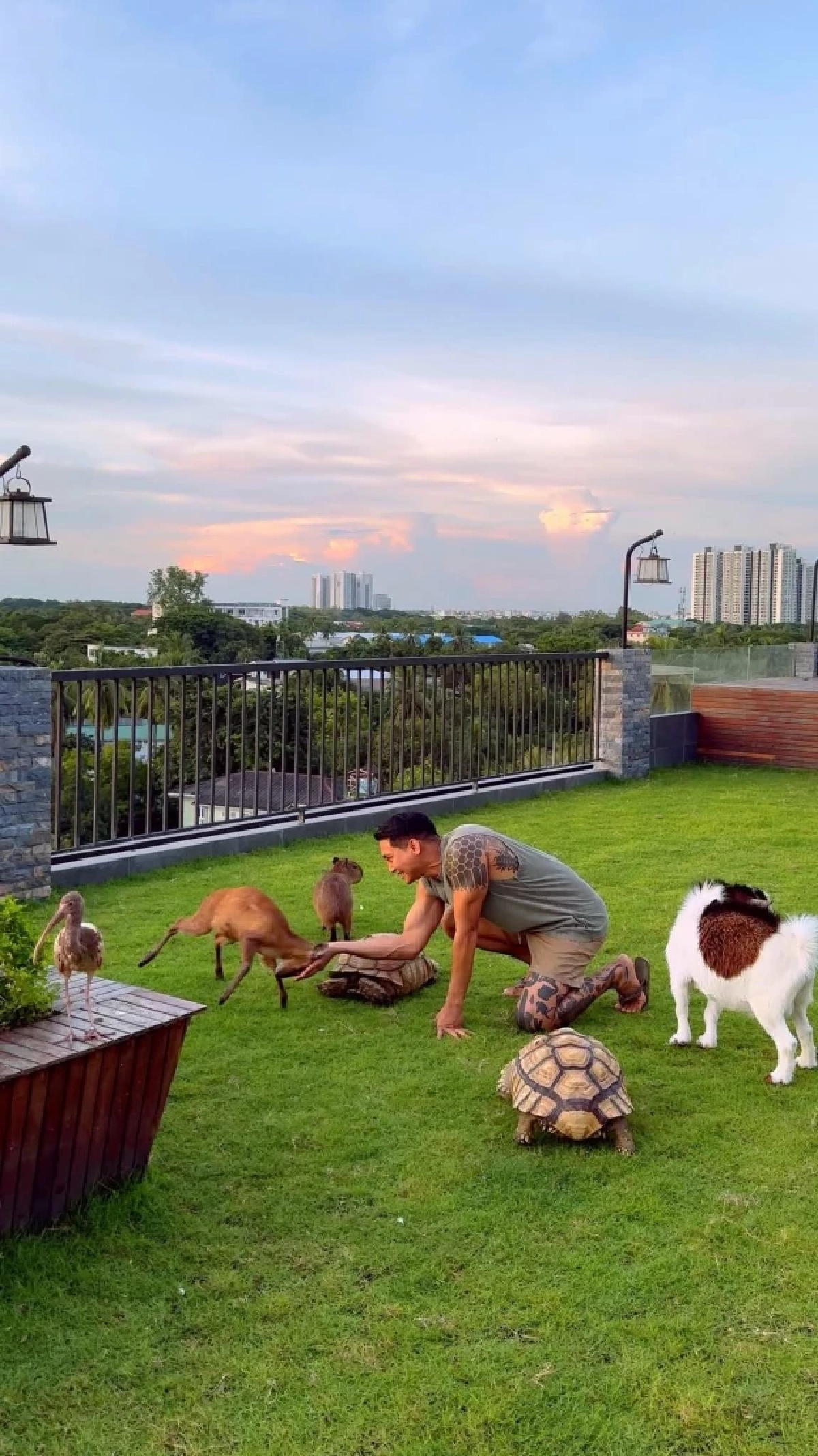 หรูหราสุดๆ “ไป่ ทาคน” เนรมิตสวนสัตว์บนดาดฟ้า เลี้ยงสัตว์หายากเพียบ