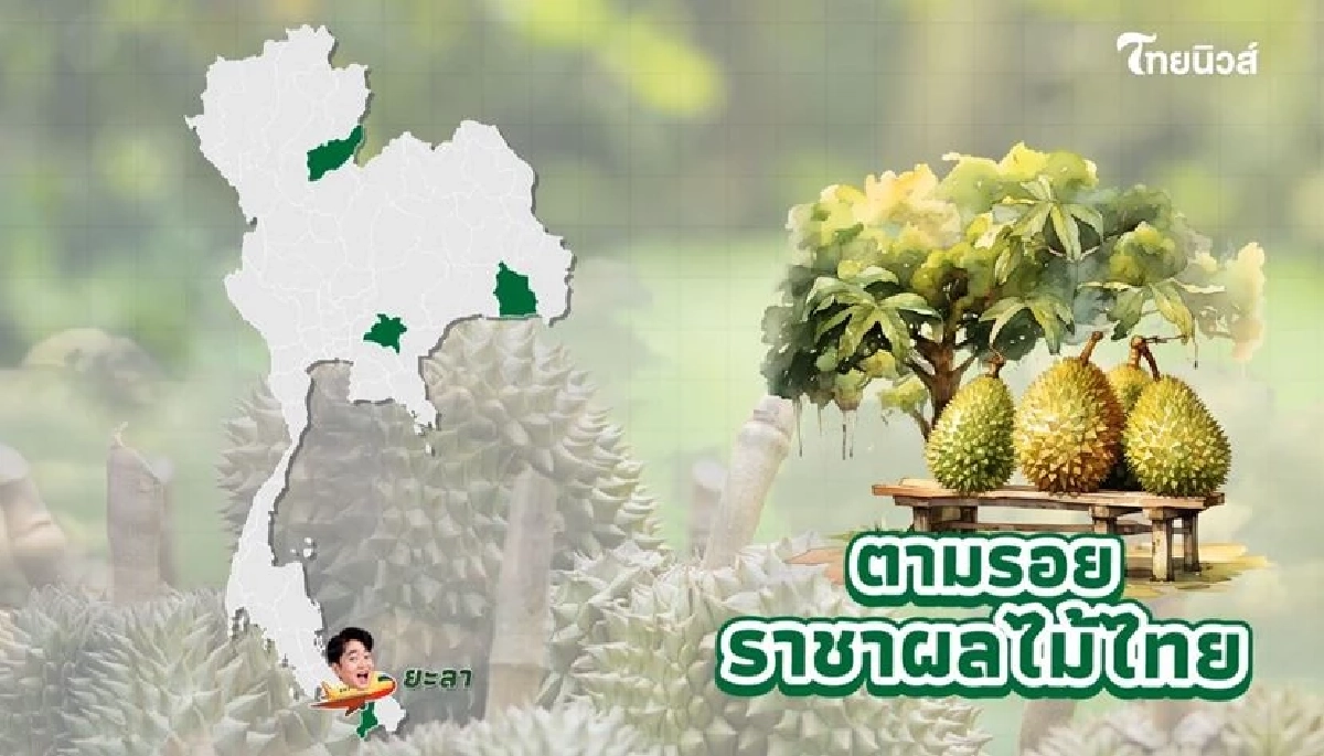 \"ทุเรียน\"ราชาแห่งผลไม้ไทย กับ รหัสลับ GI ที่โลกต้องรู้จัก