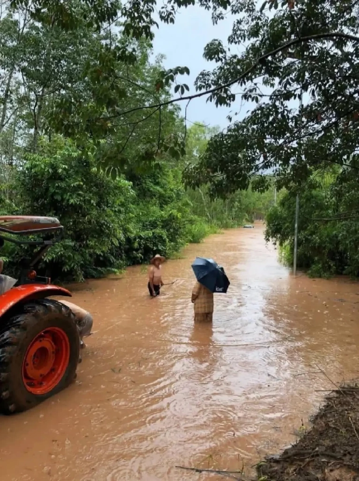 อิทธิพล &quot;พายุมิแทก&quot; น้ำป่าถล่มภูเรืออ่วม ถนนจม-รถยนต์เกือบมิดคัน