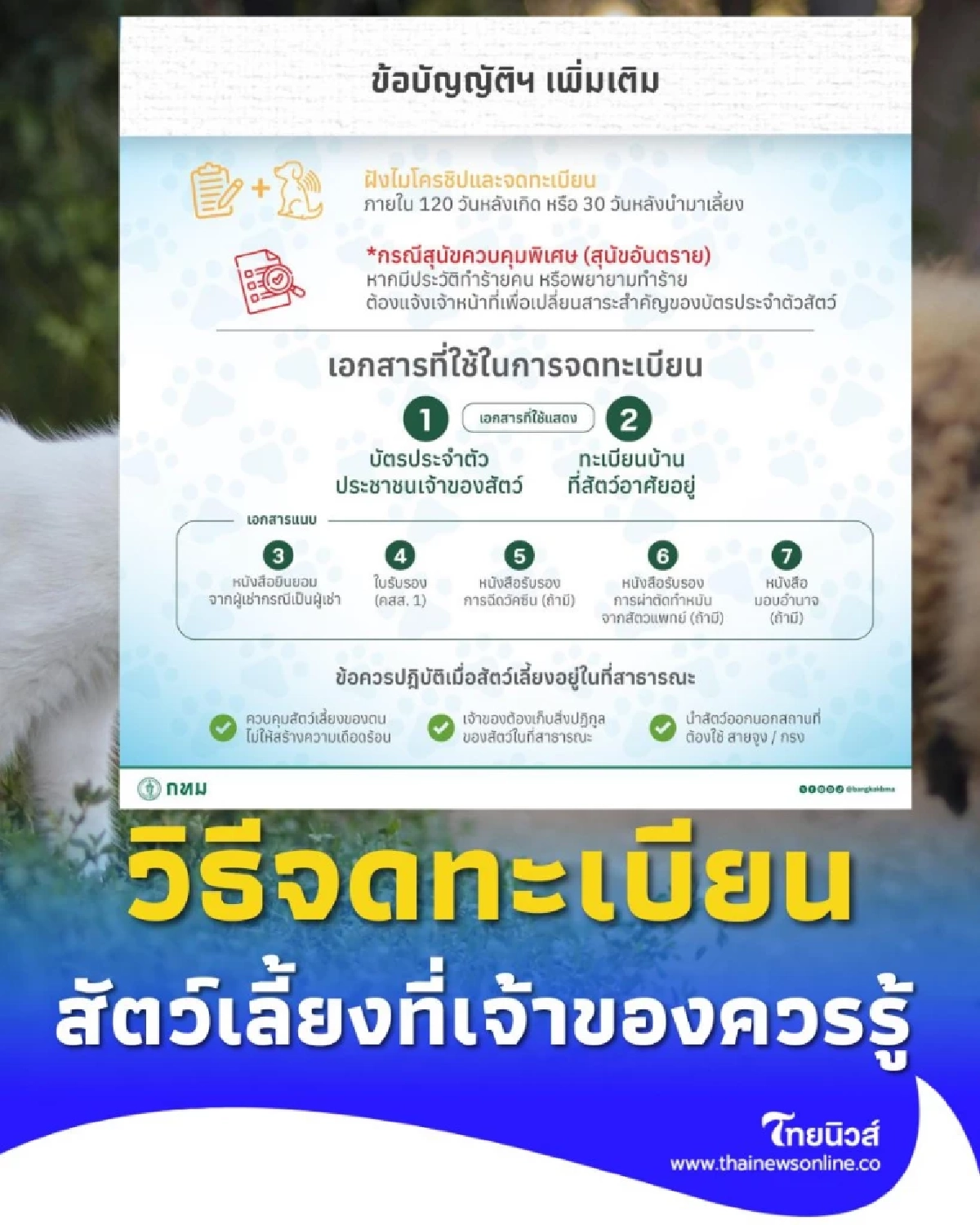 วิธีจดทะเบียนสัตว์เลี้ยง ที่เจ้าของควรรู้ หากเพิกเฉย มีโทษ