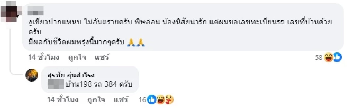แห่ส่องทะเบียนรถ เลขที่บ้าน ลูกงูเขียว 9 ตัว หล่นจากต้นไม้ ตกใส่รถ