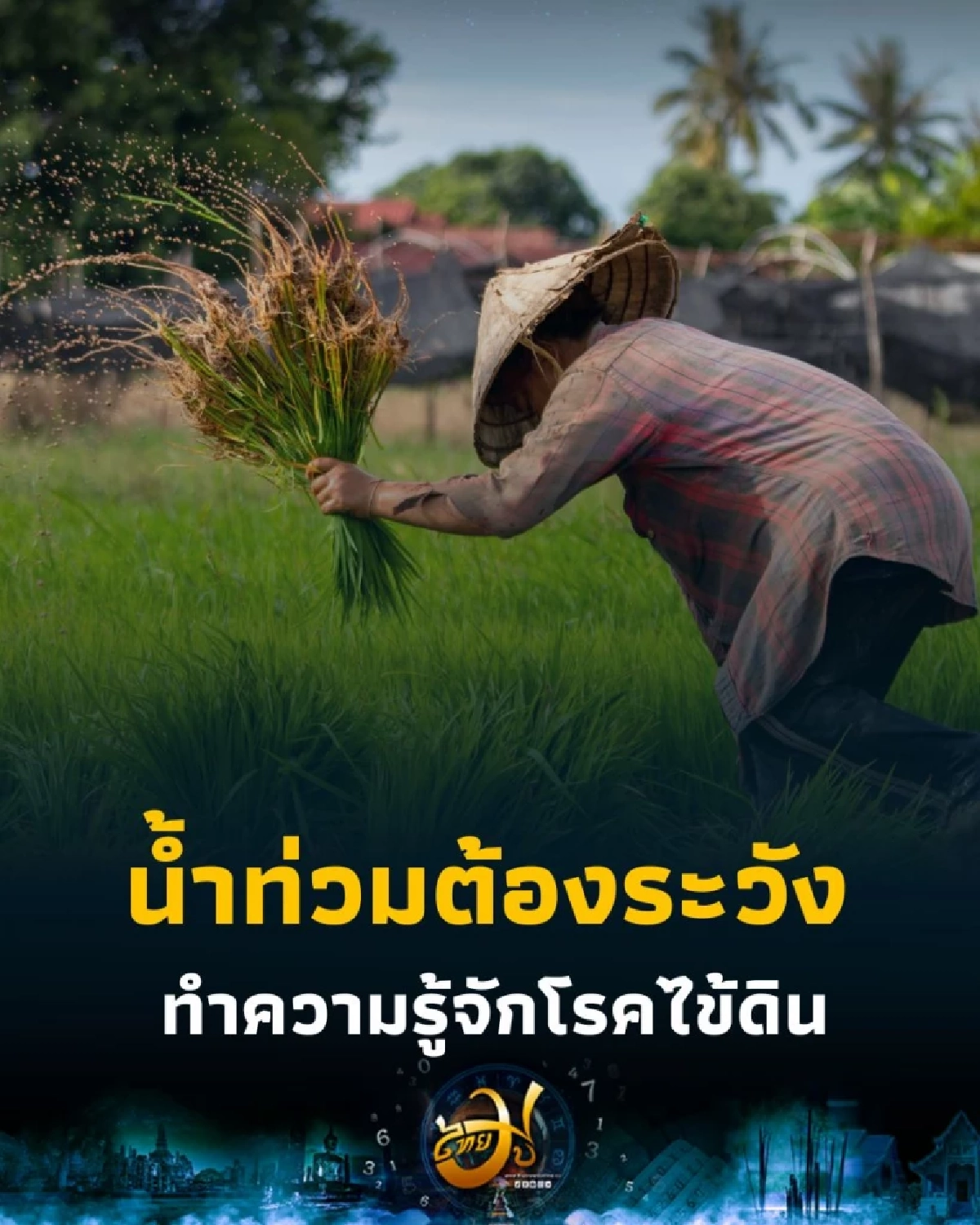 ระวัง โรคไข้ดิน เสียชีวิตแล้วหลายราย เช็กอาการและวิธีป้องกัน