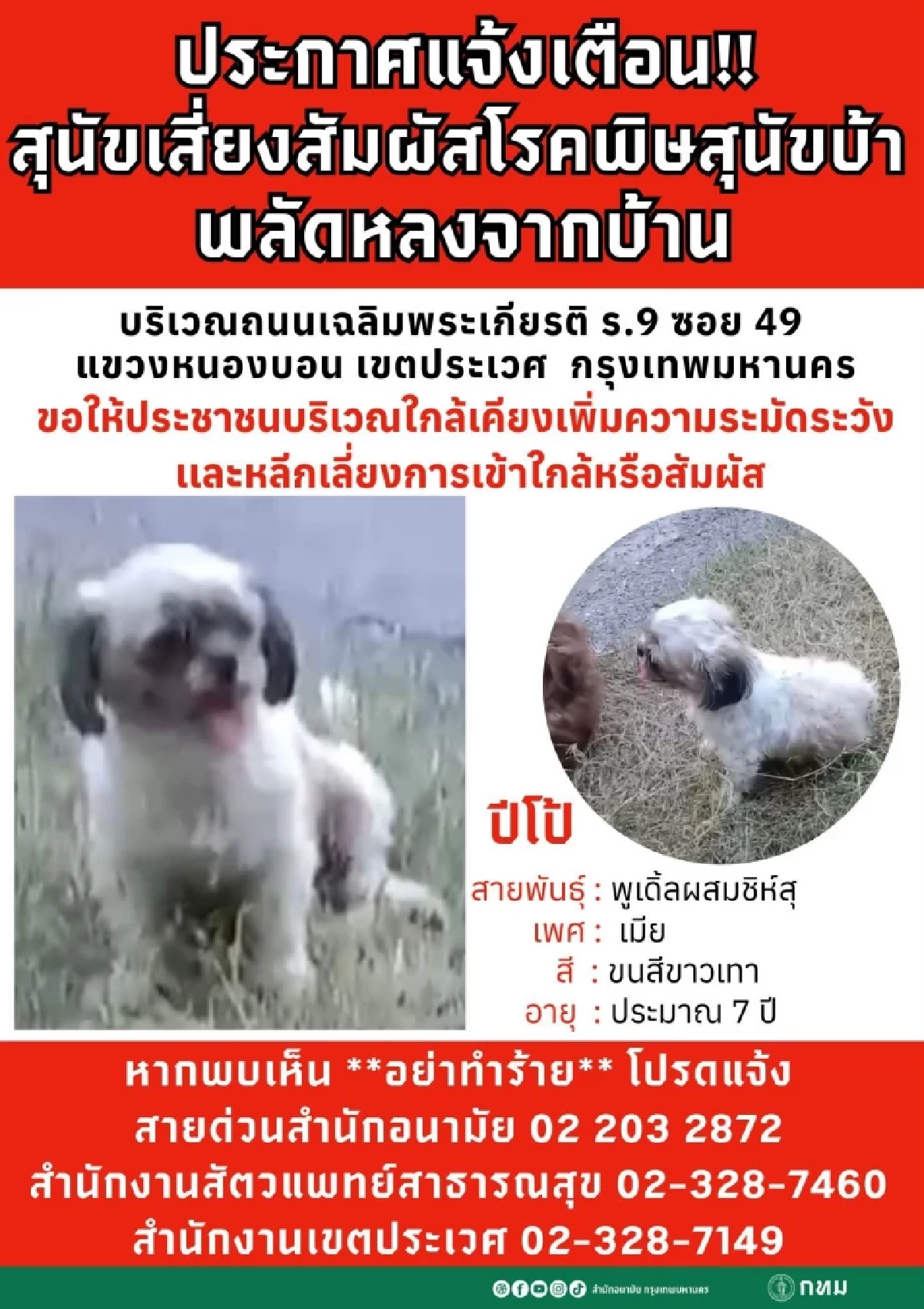 ประกาศแจ้งเตือน น้องหมา เจ้าปีโป้ อย่าเข้าใกล้ เจอแจ้งจนท.ด่วน
