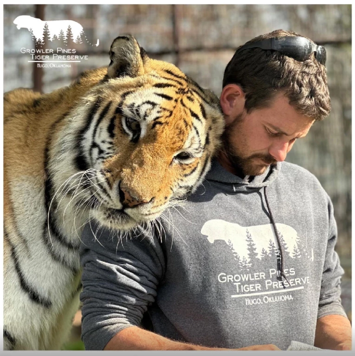 เจ้าของเขตสงวนพันธุ์เสือ ถูกขย้ำดับ ทั้งๆ ที่มีภาพโมเมนต์ผูกพัน