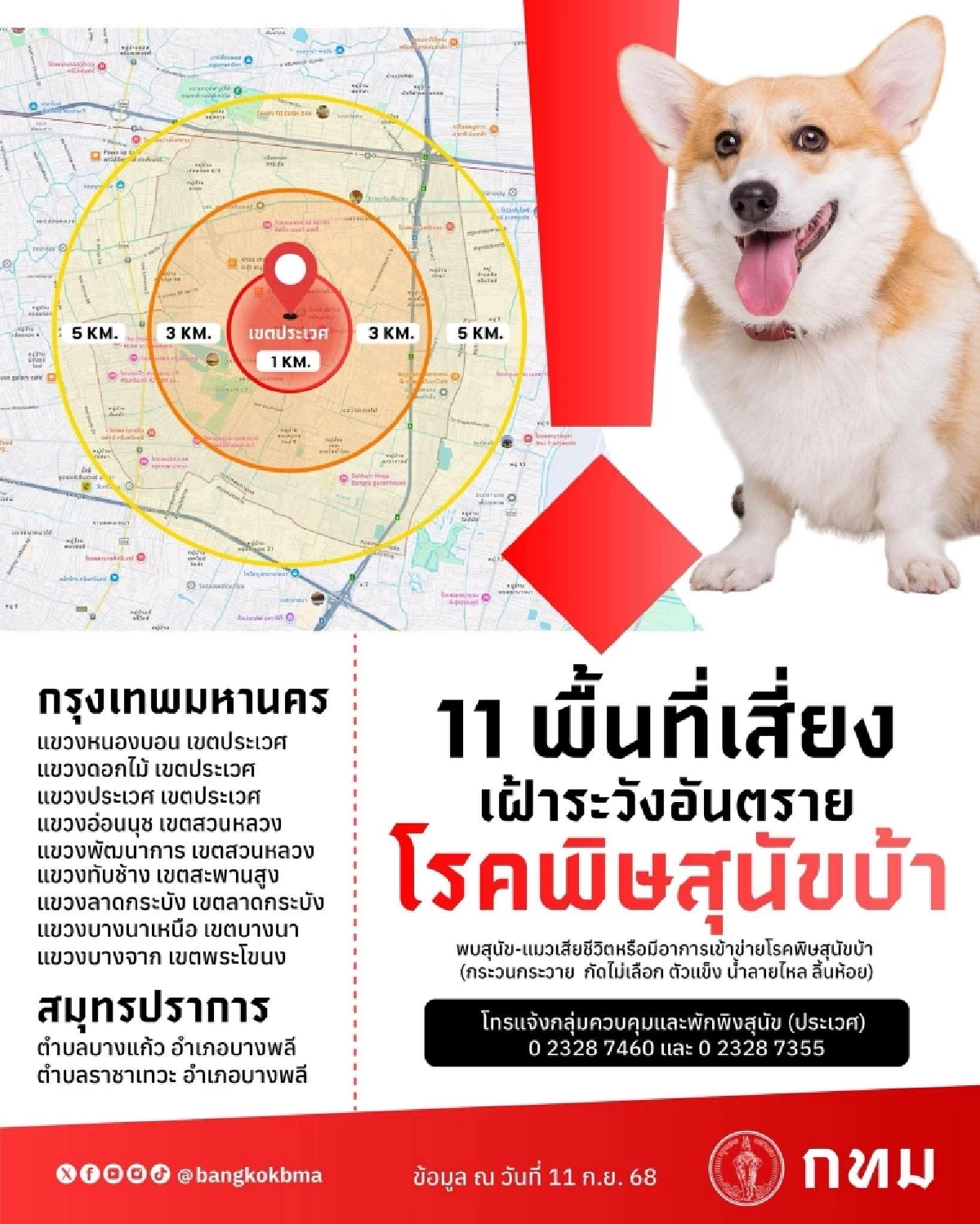 กทม.เปิด 11 พื้นที่เสี่ยง เตือนเฝ้าระวังอันตราย โรคพิษสุนัขบ้า