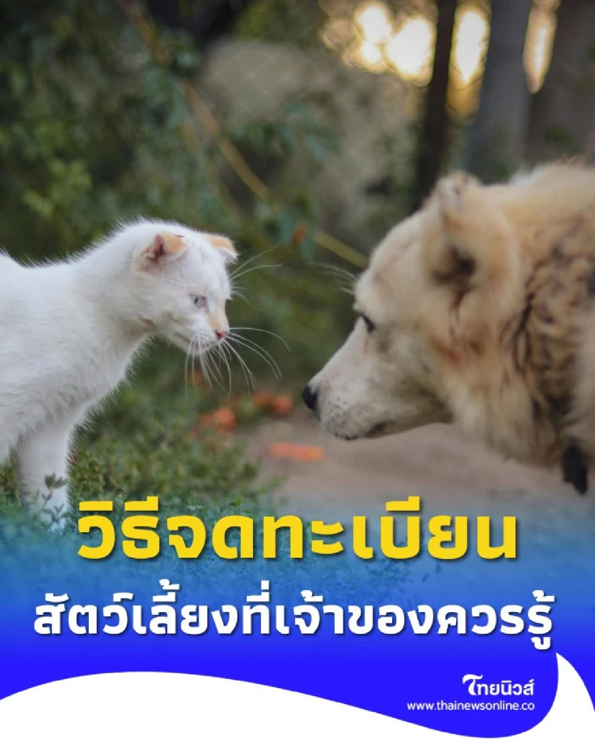 วิธีจดทะเบียนสัตว์เลี้ยง ที่เจ้าของควรรู้ หากเพิกเฉย มีโทษ