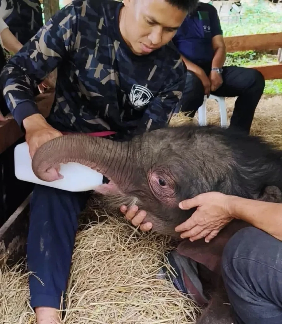 เปิดที่มาชื่อ “พังข้าวต้ม” ความหมายอบอุ่น พร้อมอัปเดตอาการล่าสุด