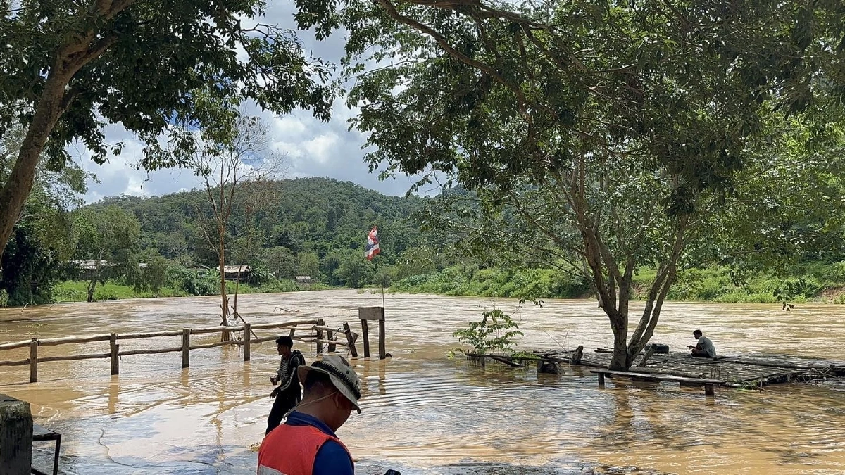 อพยพด่วน ช้างตระกูลแสน ขึ้นที่สูงเซฟทุกชีวิตก่อนน้ำมา