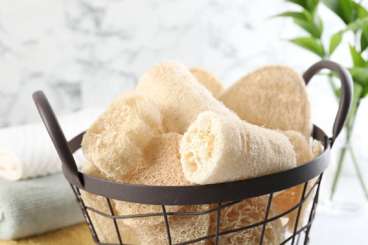 เตือน อุปกรณ์อาบน้ำใกล้ตัว ฟองน้ำ–ใยบวบ เสี่ยงสะสมเชื้อรา