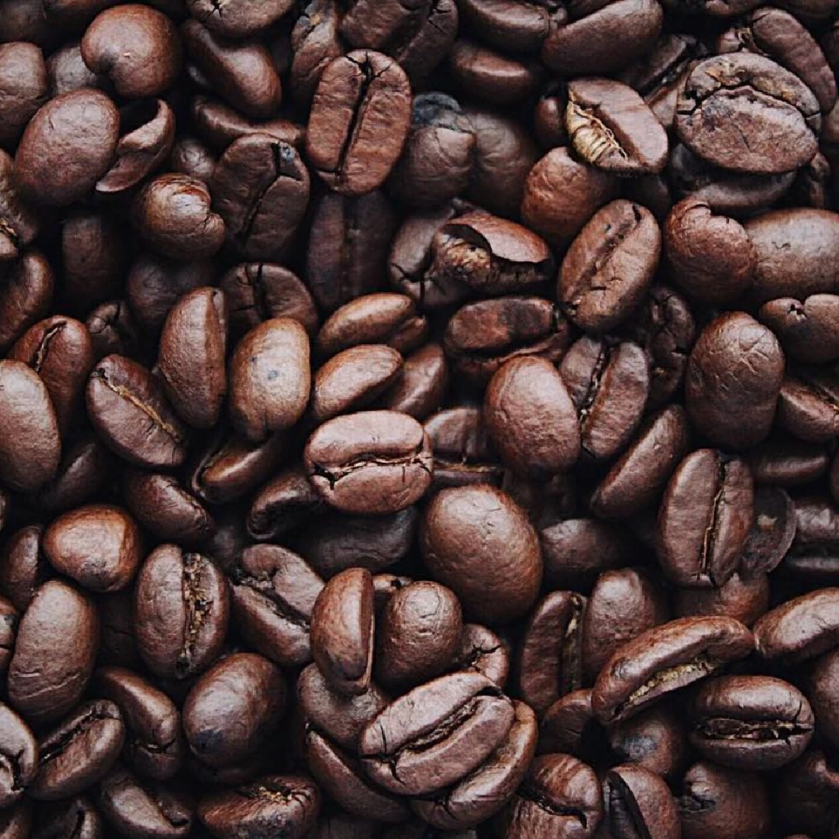 เรื่องลับของกาแฟ เบื้องหลังเครื่องดื่มที่ทำให้คุณตาสว่างทุกเช้า