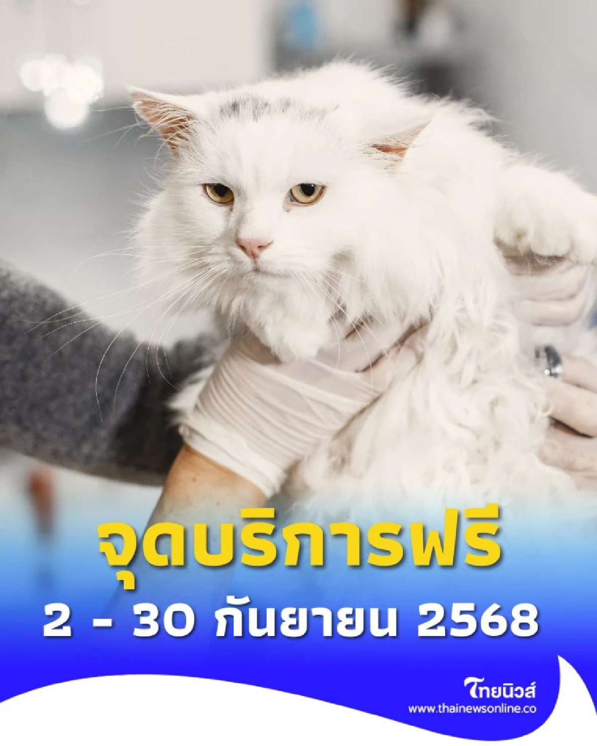 กทม. เปิดบริการสัตวแพทย์เคลื่อนที่ เดือน ก.ย. 2568 ช่วยเหลือสุนัขแมวฟรี