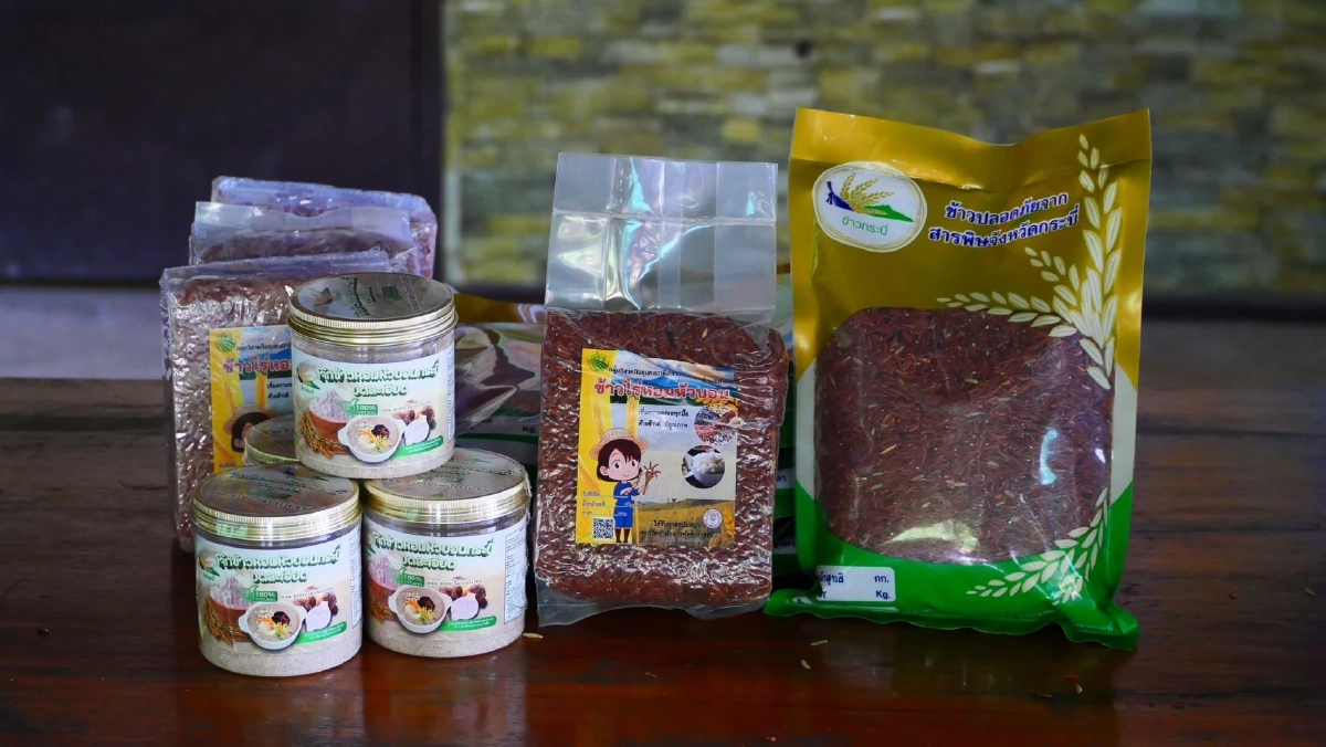 ข้าวไร่หอมหัวบอนกระบี่ ขึ้นแท่น GI ดันรายได้ชุมชนปีละ 66 ล้าน