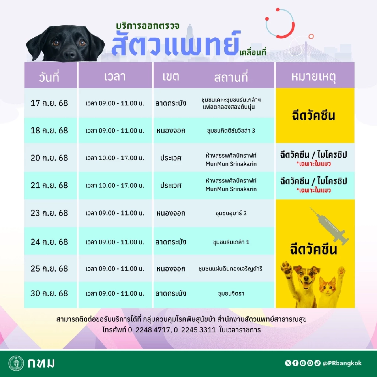 กทม. เปิดบริการสัตวแพทย์เคลื่อนที่ เดือน ก.ย. 2568 ช่วยเหลือสุนัขแมวฟรี
