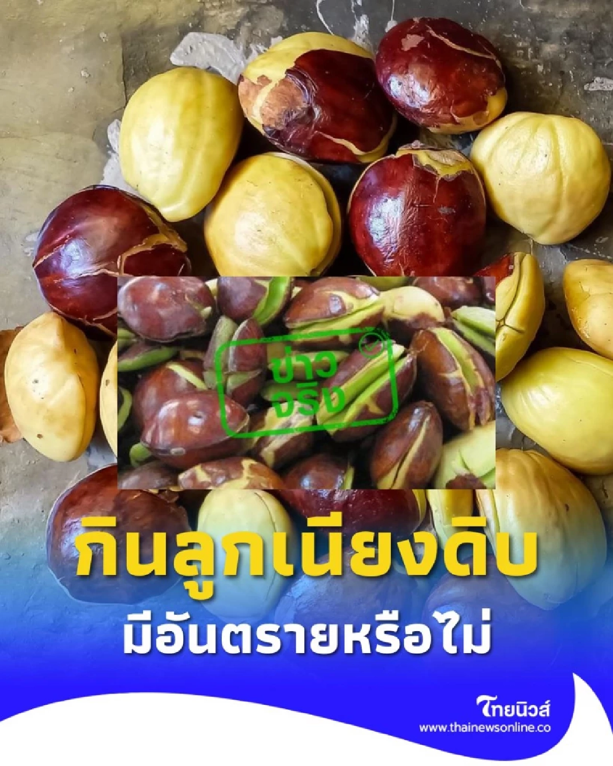 กินลูกเนียงดิบระวังไว้ มีอาการแบบนี้อาจกำลังเสี่ยงไตวาย